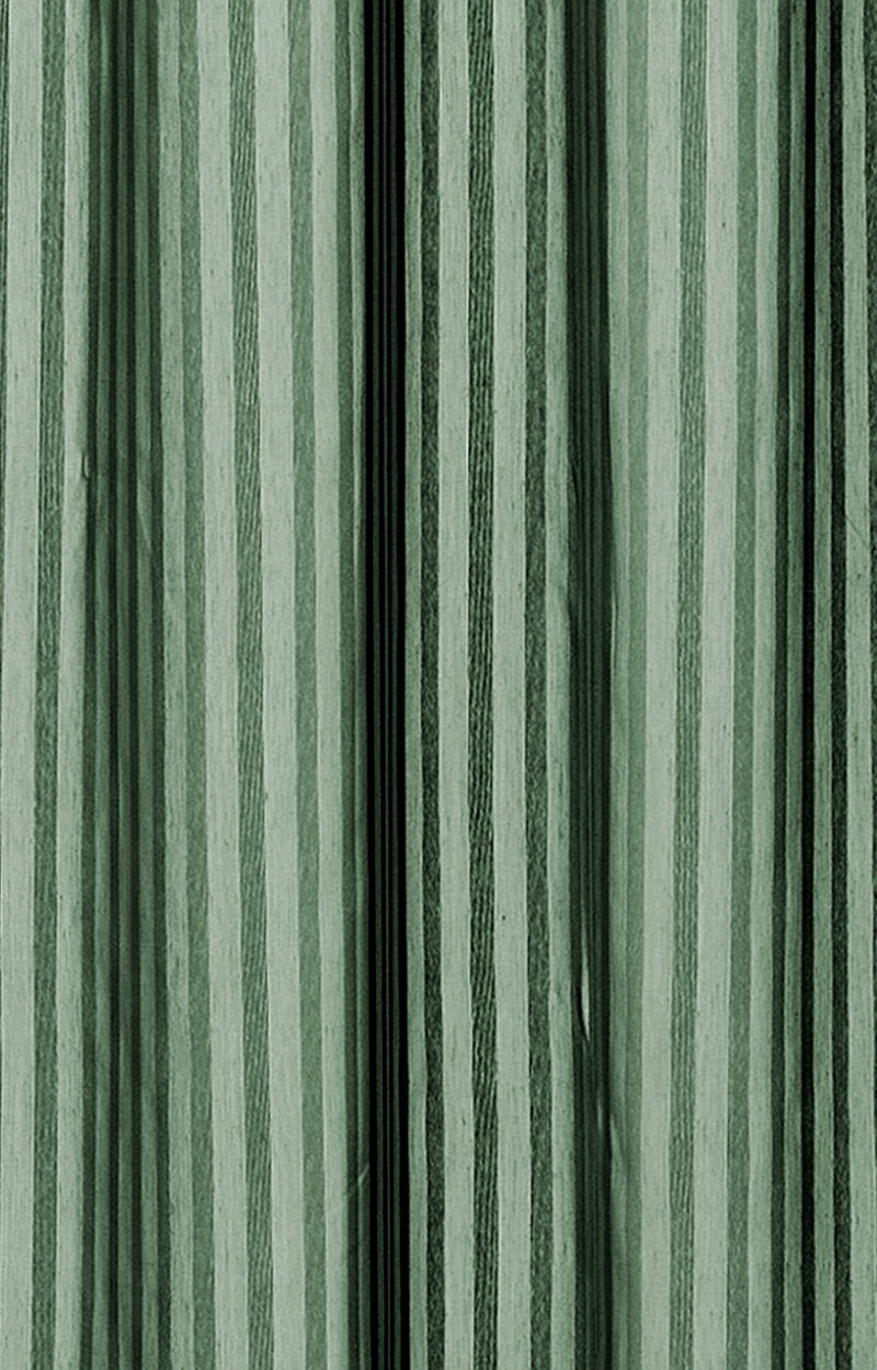 4205-1-38-1.jpg
